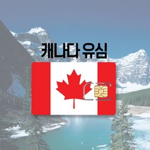 캐나다 유심 LTE 완전무제한 하와이 미국 멕시코 티모바일 AT&T 여행 출장 유심칩, 티모바일 5GB, 15일