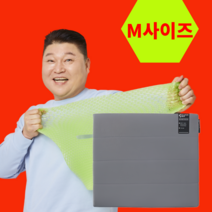 밸런스온 베타젤 시트 프리미엄 시트 강호동방석 M사이즈, 그레이(회색) / M사이즈