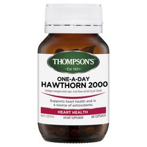 톰슨 원어데이 호손 2000mg 60정 심혈관 기능지원, 1개, 기본