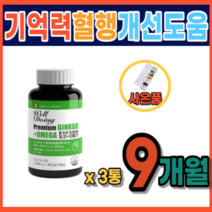 기억력 개선 뇌건강 은행잎 추출물 집중력 장애 저하 감퇴 기능 향상 개선 에좋은 식품 식약처 정맥순환개선 하지정맥 다리 혈액순환 피 맑게 하는 영양제 음식 건조한 눈 약 3개월분, 3통, 90캡슐