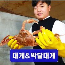 [예님푸드] 제철수산물 구룡포 산지직송 대게 중 2마리(생물), 단품