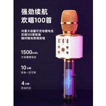 마이크 오디오 홈 무선 블루투스 노래방 장비 세트, 딥 스페이스 그레이 센드 보관함  충전 케이