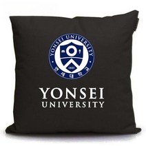 연세대 로고 엠블럼 쿠션 등쿠션 소파 베게 대학교 학원 학생 선물 판촉물 기념품 사은품, 40cm, 패턴 4