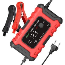 AA충전기 AAA충전기 FOXSUR-12V 6A 자동차 배터리 스타터 Lifepo4 24v 충전기 오토바이 SUV AGE GEL 액세서, 01 EU plug Red