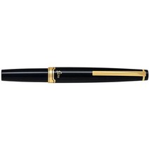 일본직발송 3. PILOT 파일럿 만년필 엘리트 95S FES -1MM -B -F 가는 글씨 검정 B00DITWYGS, One Size_One Color, One Size_One Color, One Color