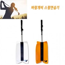 [도매직방] 골프 퍼팅 바람개비 스윙 연습기 골프연습silly210129바이올렛JSHidamd210209바이올렛JSH, E바람개비 골프스윙연습기(랜덤)