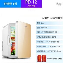 미니화장품냉장고 미니냉장고 소형냉장고 화장품 냉장고 차량용냉장고 음료수냉장고 화장품냉장고 미니 소형 냉장고 가구 사무실 기숙사 렌터카 냉동 화장품 마스크 신선한 우유 냉동실, N.PD-12 냉장 모델/로컬 폭군 골드/자동차 가족