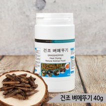 열풍건조 벼메뚜기 40g 소동물 앵무새 고단백질 간식, 단품
