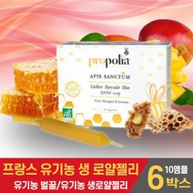 프랑스산 유기농 생 로얄젤리 로얄제리 앰플 원액 로열젤리 ROYAL JELLY 자연 로얄젤리꿀 유기농벌꿀 프로폴리아 먹는법, 6박스, 10앰플
