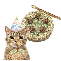 캣완트 고양이 냠냠시리즈 장난감 D02 마따따비 생일케이크, 혼합색상, 1개