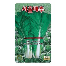 배추씨앗 6000립 서울배추 씨앗 대장 KS종묘, 1개