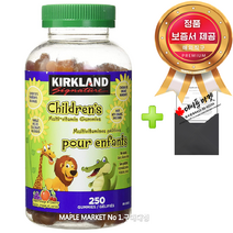 커클랜드 어린이 키즈 멀티비타민 젤리 구미 8개월분 250정+정품보증서, 1개, 250구미