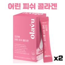 뉴트리커먼 어린콜라겐 피쉬콜라겐 저분자 512달톤 개별인정형, 2개