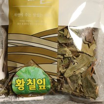황칠가 황칠나무 잎(100g)