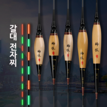 야간용 갈대 전자찌 튜브찌톱 올림찌 내림찌 민물 올림 내림 중층 바닥 낚시 찌 추천 나노, SW-04