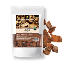 유근피 건재 느릅나무 누릎나무 느름나무 500g