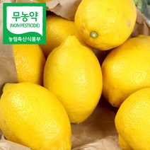 [MD추천] 친환경제주레몬영농조합 무농약인증 레몬 3kg 5kg 산지직송, 1박스