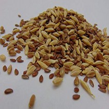 6 oz Sprouting PET Mix - A Tasteful Mix of Wheatgrass Flax and Barley Seeds. Seeds for Growing Micr, 1
