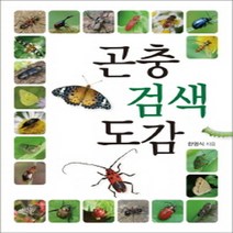이든북-진선 / 곤충 검색 도감