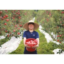 아삭한 충주 사과 당도선별 5kg 특대 대 중 산지직송, 1박스, 10kg, 중과(34~40)