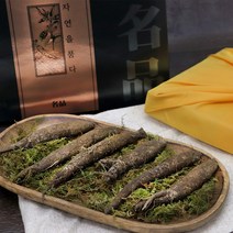 자연산 야생 더덕 강원도 횡성 겨울더덕 더덕 요리 구이 무침 더덕선물세트 더덕차 더덕의효능 더덕짱아지, 건물세트