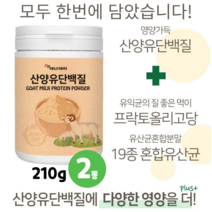 산양유 단백질 분리대두 분리유청 단백 분말 가루 파우더 단백질 WPI 초유 분말 유산균 19종 락토바실러스 프락토올리고당, 2통, 210g