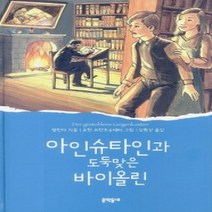 [개똥이네][중고-최상] 아인슈타인과 도둑맞은 바이올린