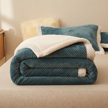 정전기 방지 털 안빠지는 극세사 보온 대형 고급 담요 보들보들 차렵 플란넬 두꺼운 이불 캠핑 소파 차박