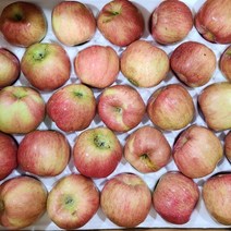 홍로 햇 꿀 세척 비세척 사과 못난이 흠집 가정용, *홍로 세척사과 중과(17-23과) 5kg내외, 1개