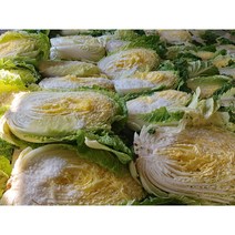 오늘애푸드 김장시즌 국내산 강원도 / 해남 절임배추20kg, 11월3일(금)도착
