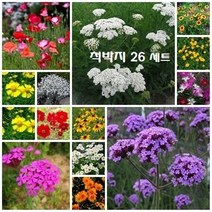 [노지직파 혼합씨앗] 비탈지고 척박한 땅에 적합한 초화 26종