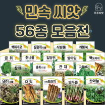 민속채소 씨앗 약초종자 도라지 더덕 냉이 잔대 고들빼기 땅두릅 산마늘 곤드레 취나물 씨앗, 35. 시호 2g