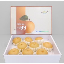 나주배 추석 명절 선물세트 햇배 특품 7.5kg 11~13과