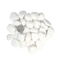 화분월드 더좋은 백자갈 5호 5kg, 2개
