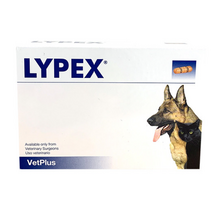 라이펙스 췌장 효소 Lypex Capsules - Pack of 60 (Pancreatic Enzyme) 라이팩스