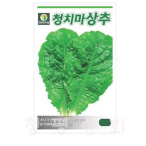 다농 상록청치마상추씨앗, 10개