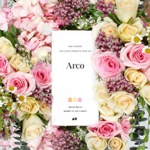 올챌린지 아르꼬 드라이 건조기 섬유유연 시트 40개입, 1