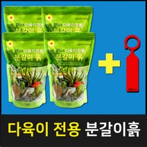 다육이 화분 분갈이 전용 흙 혼합 배양토 마사토 다육이 용토, 다육이 전용 분갈이흙 4개