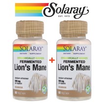 솔라레이 노루궁뎅이 발효 사자갈기 버섯 균사체 500mg 60 베지캡슐 2팩