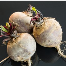 햇살조은 제주 햇 레드비트 비트, 1박스, 비트10kg