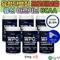 대두 레시틴 함유 농축 유청단백질 분말 WPC 보충제 운동전후 타먹는 가루 아미노산 류신 발린 트립토판 500gx6통 운동전 아르지닌 유신 루신 히스티딘 트레오닌 글리신 글루타민