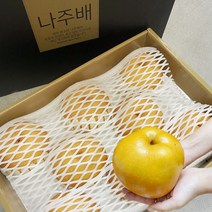 나주배 산지직송 햇배 고당도 꿀배, 1개, 7.5kg, 나주배 특품(대)