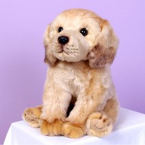위더펫 강아지 고양이 호랑이 애착 동물 캐릭터 인형, 02.위더펫-골든리트리버(시팅_