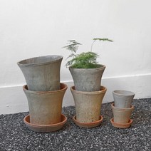 마이플랜트 [마이플랜트]베트남토분 모스 트럼펫팟 16호 빈티지화분 독일토분 인테리어 감성 화분, 선택완료
