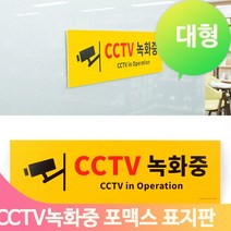 주차장 CCTV녹화중 푯말 인테리어 문패 표지판 도서관 북카페 업소 안내