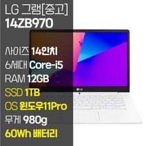 LG 그램 14ZB970 14인치 인텔 6세대 Core-i5 SSD탑재 980g 60Wh 올데이배터리 사은품 증정, WIN11 Pro, 12GB, 1TB, 코어i5, 화이트