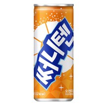 써니텐 오렌지 250mlx30캔, 상세페이지 참조, 250ml