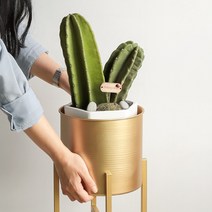 북유럽 엔틱 인테리어 골드 화분 받침 다육이 진열대 금색 식물선반 정리대 스탠드, 슬림 원형 화분대(중), 슬림 원형 화분대(중)