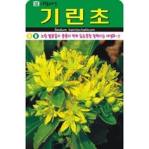 AR 기린초 씨앗 소포장 건조지의 강자 1000립, 1개