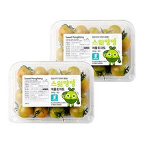[오늘출발]장보남 스테비아 토마토 애플토마토 500gx2팩 /우체국택배